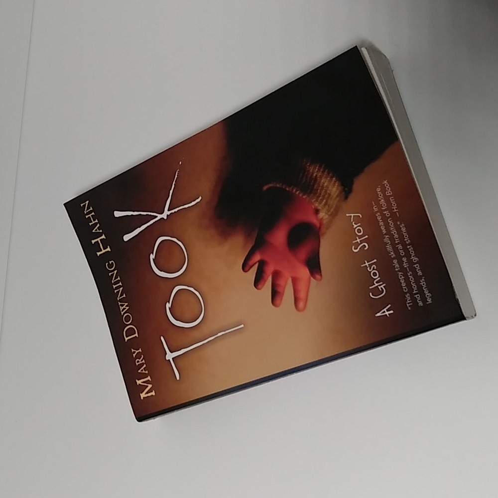 Took! Novel by Mary Downing Hahn
